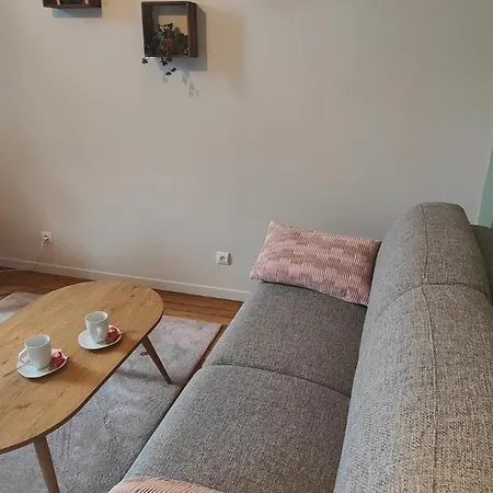 Appartement Leclerc - D'hotes - Secteur Thermal Nancy