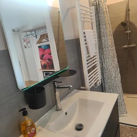 Appartement Leclerc - D'hotes - Secteur Thermal Nancy