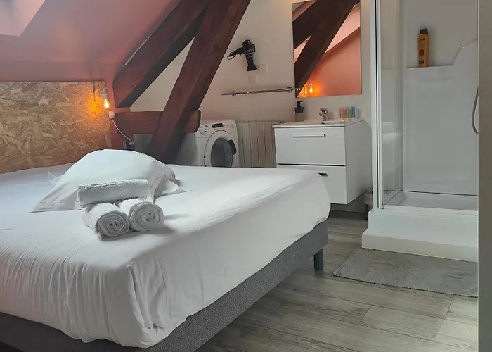 Apartmán Leclerc - D'hotes - Secteur Thermal Nancy