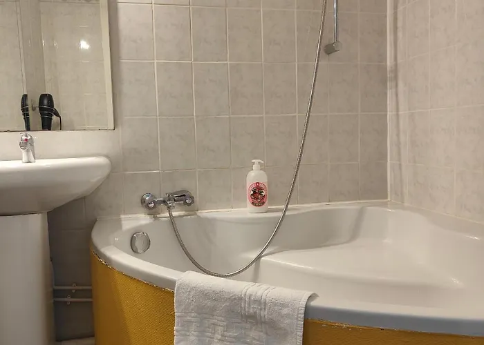 Apartmán Leclerc - D'hotes - Secteur Thermal Nancy